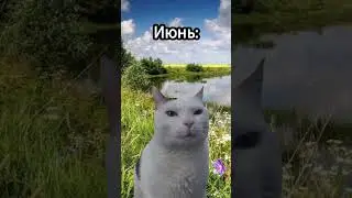 #мем #youtube #популярное #актив #cat #школа 😅🔥