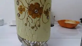 Мои орхидеи дружно пьют водичку