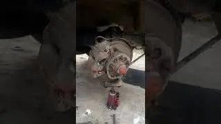 bongkar terot