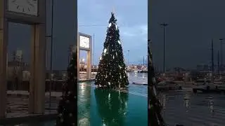 Ёлочка