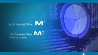 Infomev - Treinamento SAS