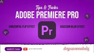Horizontal Flip and Gaussian Blur Effects in Adobe Premiere Pro 2020