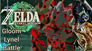 Zelda Tears of The Kingdom[JP Dub] battling a gloom Lynel