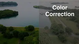 Color Correction