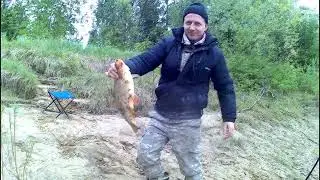Отличный голавль. Фидер в дугу.