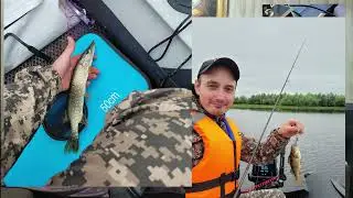 Рыбалка не удалась. Погода сорвала все планы. Сломало палатку. Мой трофей.