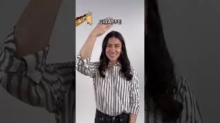 Zoo Animals Part 1 (ELEPHANT, GIRAFFE, LION, BEAR) | ASL Glossary | The ASL Shop