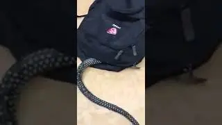 Что за видео, так и не понял?