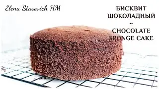 Chocolate Sponge - The Perfect Recipe! || Elena Stasevich HM