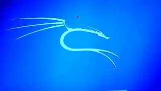 Kali linux на ORANGE PI и ALFA AWUS036NH (ralink 3070L) - мини хакерский одноплатник