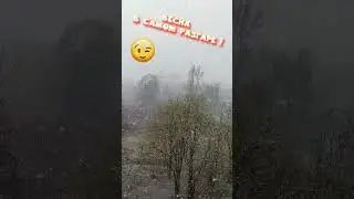 Весна в самом разгаре 😀 10 мая 2024   #приколы #снегопад #смешныевидео #лето #пермскийкрай