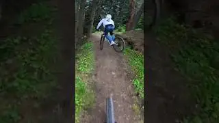 TRIALS SKILLS on a TRAILS 🔥 #mtb #велосипед #архыз