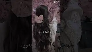 ٢٨ أغسطس، ٢٠٢٤