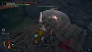 Elden Ring Co-op