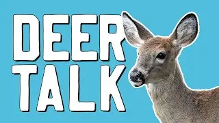 How To Baby Talk a Deer (and Other Things To Do at a National Wildlife Refuge)