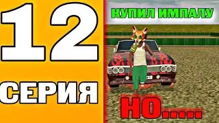 ПУТЬ ИГРОКА НА BLACK RUSSIA—КУПИЛ ТОПОВУЮ ТАЧКУ НА ПЕРЕПРОДАЖУ, НО.....❓❓❓❓