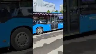 автобус № 41 