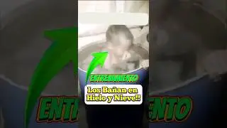Los Niños Rusos estan a otro Nivel!!🤯 #viral #fitness #palomo
