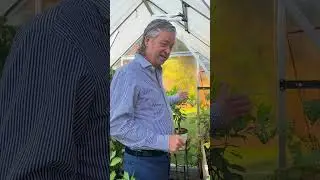 Garden Series 2024 - Part 42 🌿⁠
