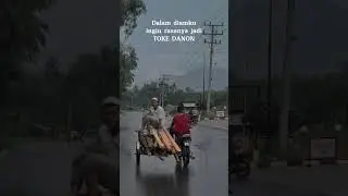 Harga beras semakin tinggi#berasmentah #kementrianpertanian #kemensos #sekretariatpresiden