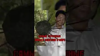 The Scariest Mines and Traps in the World 