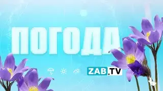 Прогноз погоды на 24 мая 2023 года