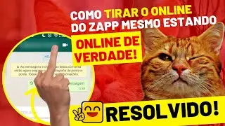 Como Tirar o Online Do Whatsapp Mesmo Estando Online | RESOLVIDO | ATUALIZADO SIMPLES E RÁPIDO