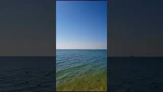 Азовское море, октябрь 2023 