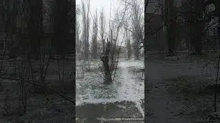 первый снег в Крыму. 17.12.2021