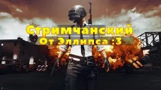 Стримчанский от Эллипса! Играем в RUST с подписчиками!
