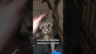 Читайте историю Дуняши в комментариях🙏🏻 Помочь можно по ссылке в шапке канала