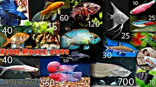Aquarium Fish Price 2021 In India After Lockdown | #FishPrice #Freshwater fish | Anshul soni