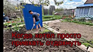 «ОТДЫХ»НА ДАЧЕ! КОГДА ХОТЕЛ ПРОСТО ОТДОХНУТЬ И НИЧЕГО НЕ ДЕЛАТЬ!