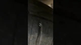 Поймал ага