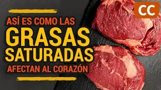 EL PELIGRO de las GRASAS SATURADAS y FUENTES RICAS  | Ciencia de la Comida