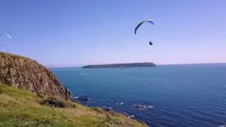 Paragliders