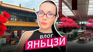КИТАЙ: ВЛОГ ЯНЬЦЗИ 2025 | Чем заняться? Исследуем популярные места.