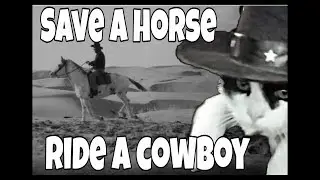Funny Cowboy Cat Dancing
