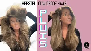 Droog haar tips en pluizig haar tegen gaan - Artistique Orchid Balance lijn