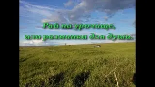 Рай на урочище, или разминка для души.