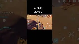 PC vs mobile player pain in genshin impact 