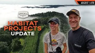 Habitat Projects Update - How the Farm is Changing | Dream Farm w/ Bill Winke
