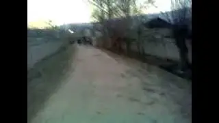 пулман2