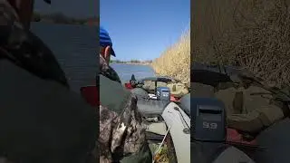 Неожиданная встреча... Рыбалка удалась!!!