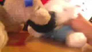 Cassie & Sleet: A Webkinz Love Story