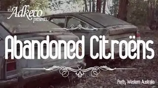 Abandoned Cars - Citroëns