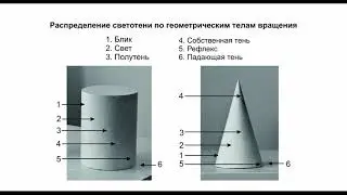 Рисунок гипсовых геометрических тел вращения