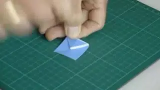 Origami Puzzle 10