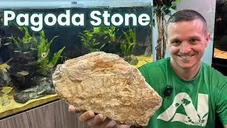 Aquarium Crema Pagoda Stone