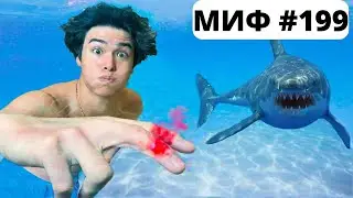 РАЗРУШЕНИЕ 200 МИФОВ ЗА 50 ЧАСОВ!!